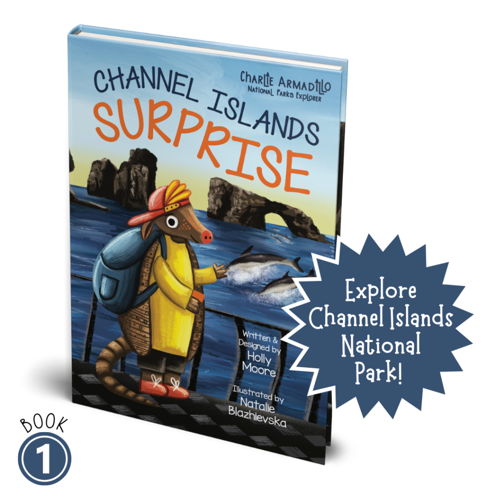 Channel Islands Surprise - Paperback