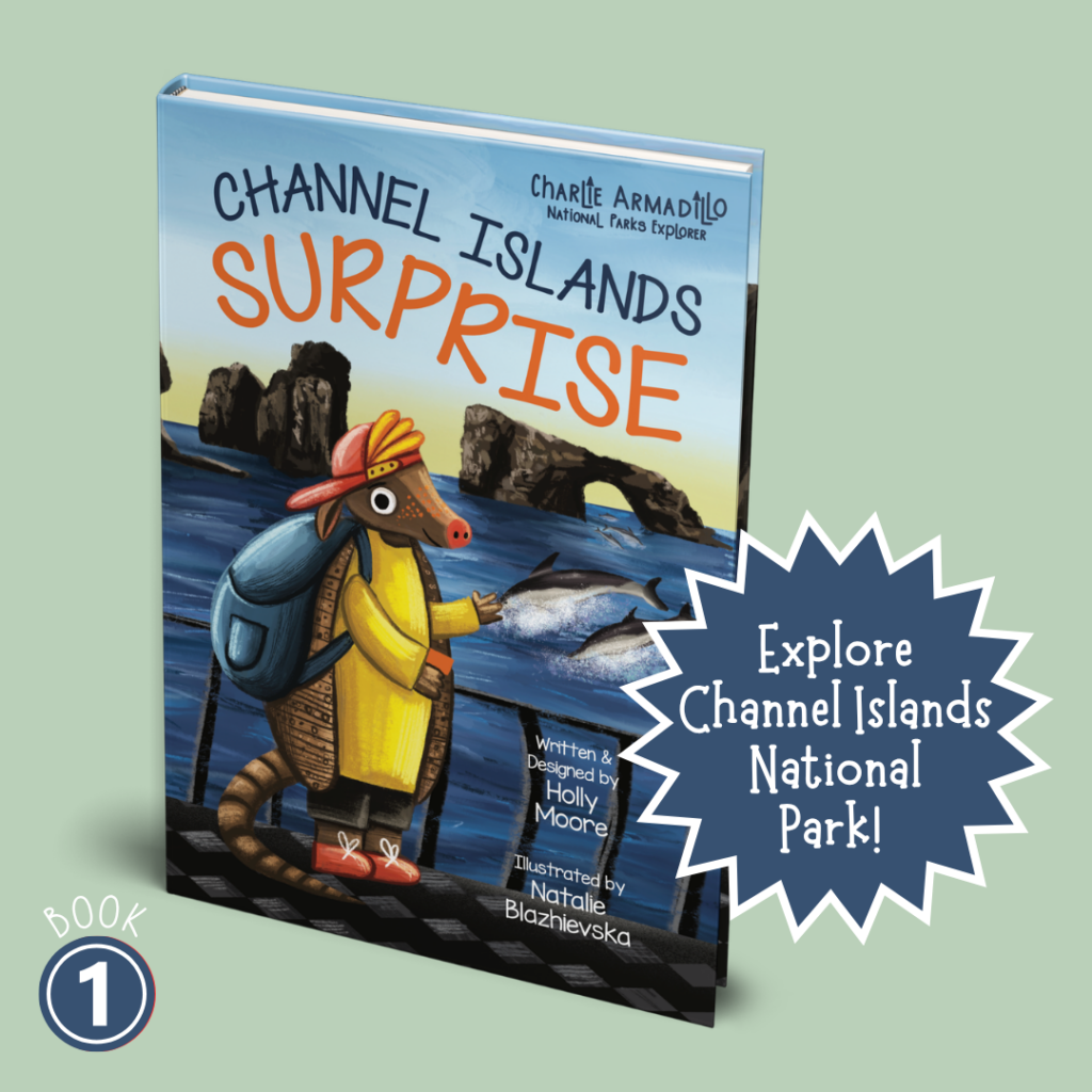Channel Islands Surprise - Hardback