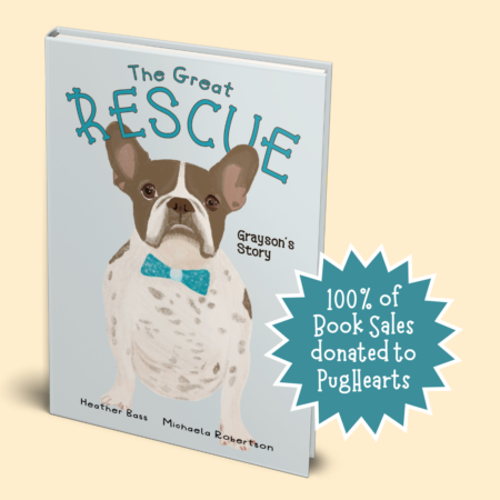 The Great Rescue - Grayson's Story - Hardback