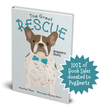 The Great Rescue - Grayson's Story - Paperback